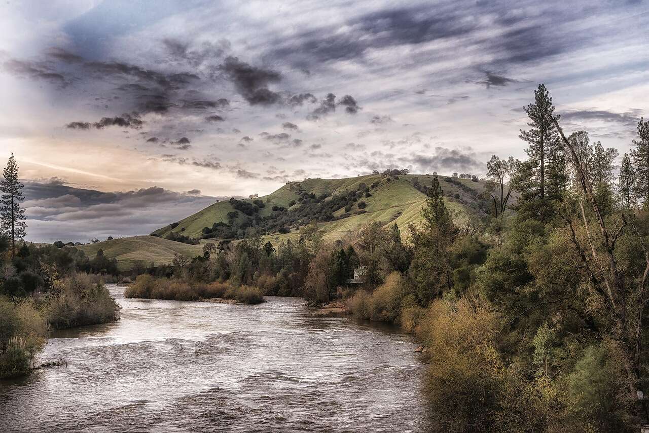 The American River running past trees on the parkway beside River Park