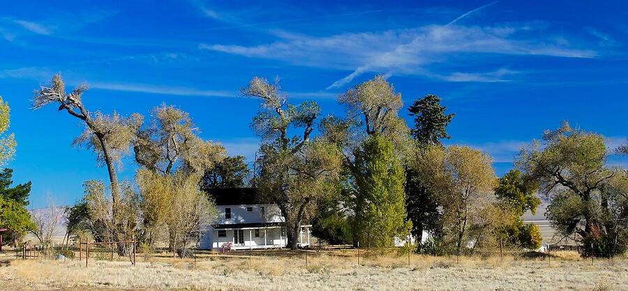 An older California farmhouse with bare winter trees behind it