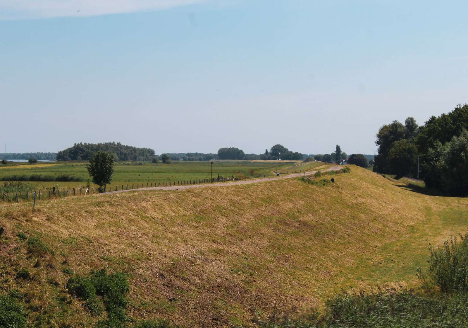 Flat farm fields running to the horizon outside Woodland