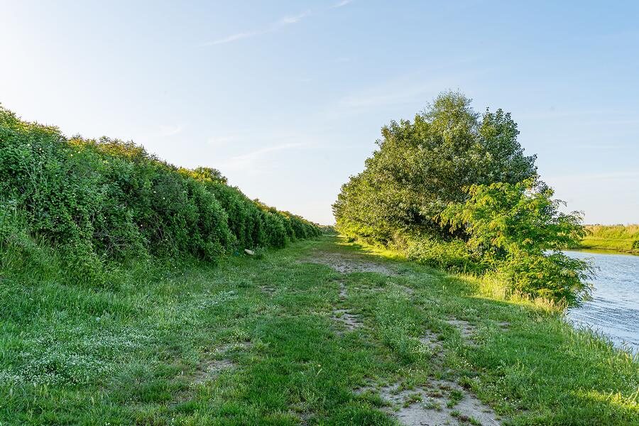 A path running along the top of a levee beside the river