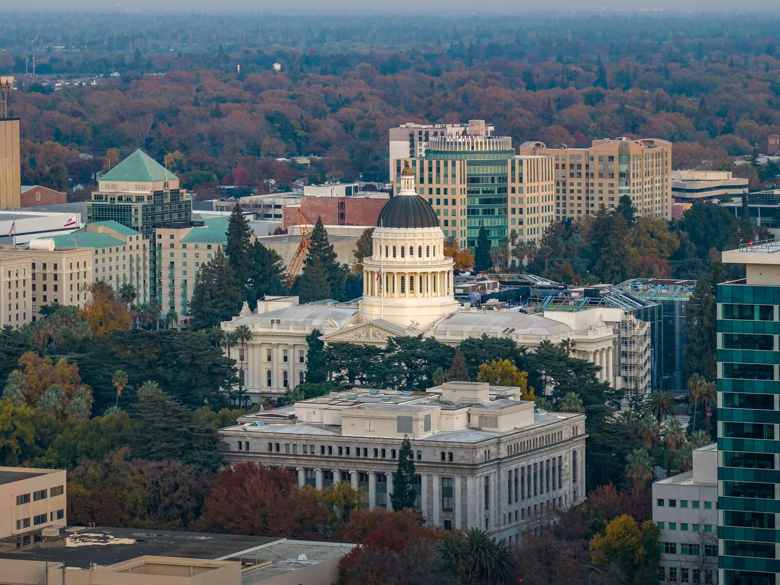 The California State Capitol dome seen above the tree canopy of downtown Sacramento