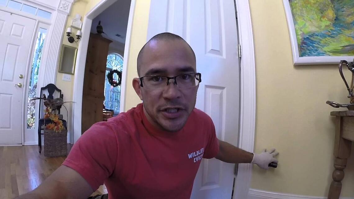 Video preview: How to remove a dead animal from inside a wall