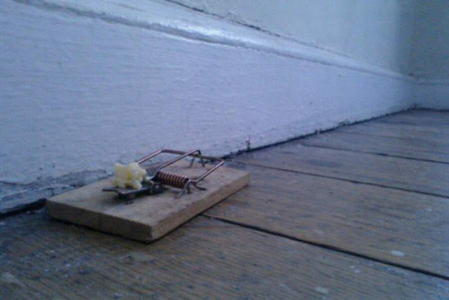 A wooden snap trap baited and waiting along a wall
